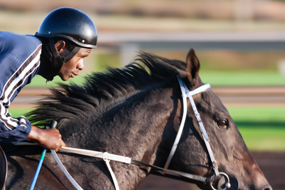 Sport Bet